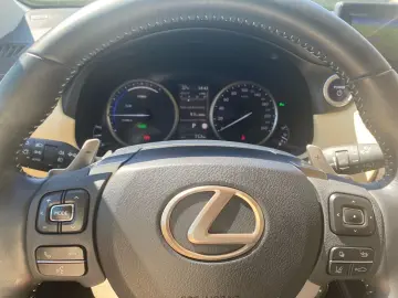 NX 300h E-FOUR Luxury Line *Matrix*360*HUD*Pano*