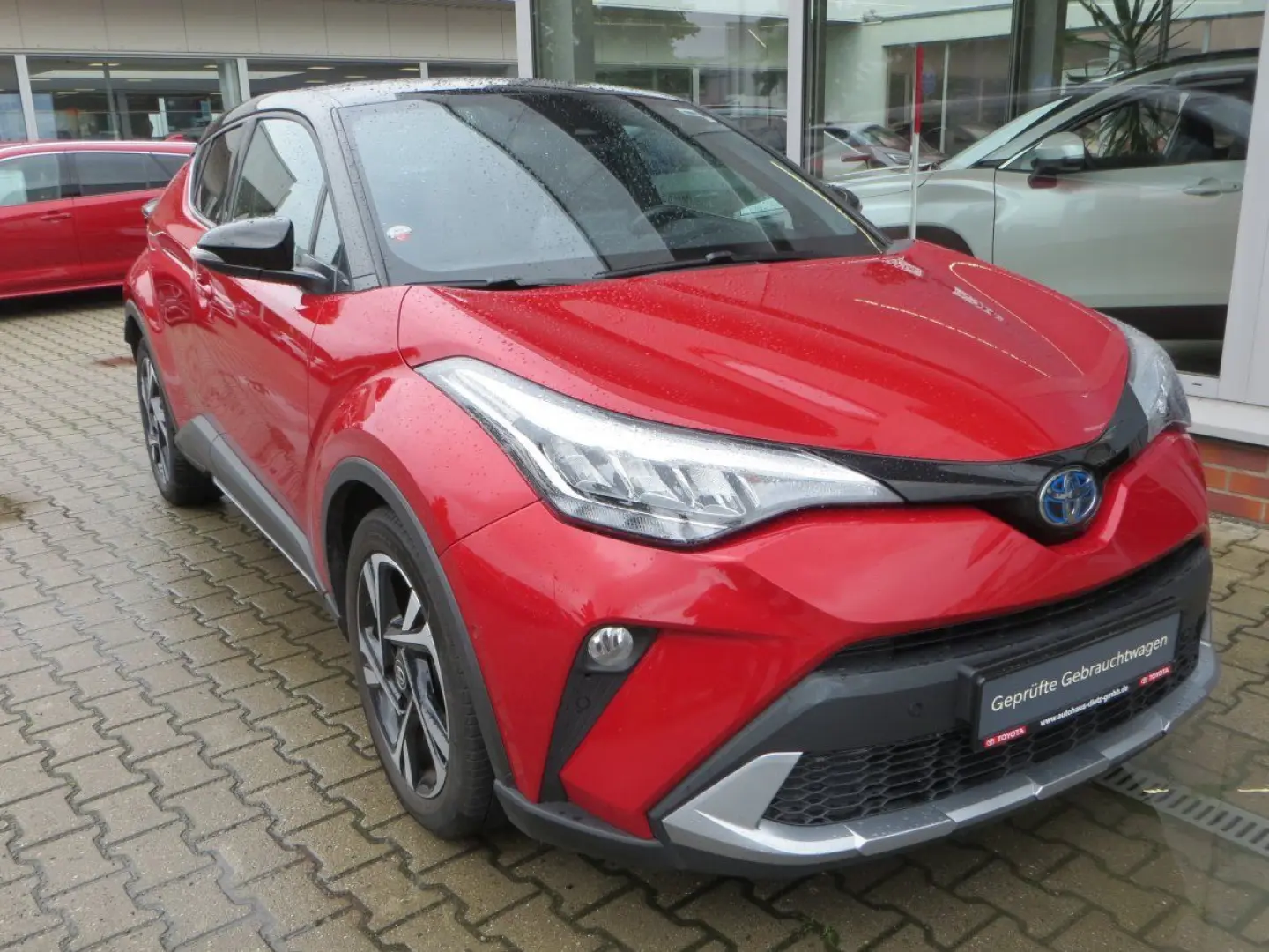 C-HR 2.0 Hybrid Team D  (EURO 6d) WKR / Bear-Loc
