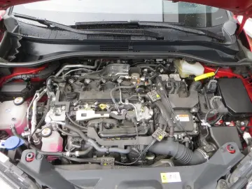 C-HR 2.0 Hybrid Team D  (EURO 6d) WKR / Bear-Loc
