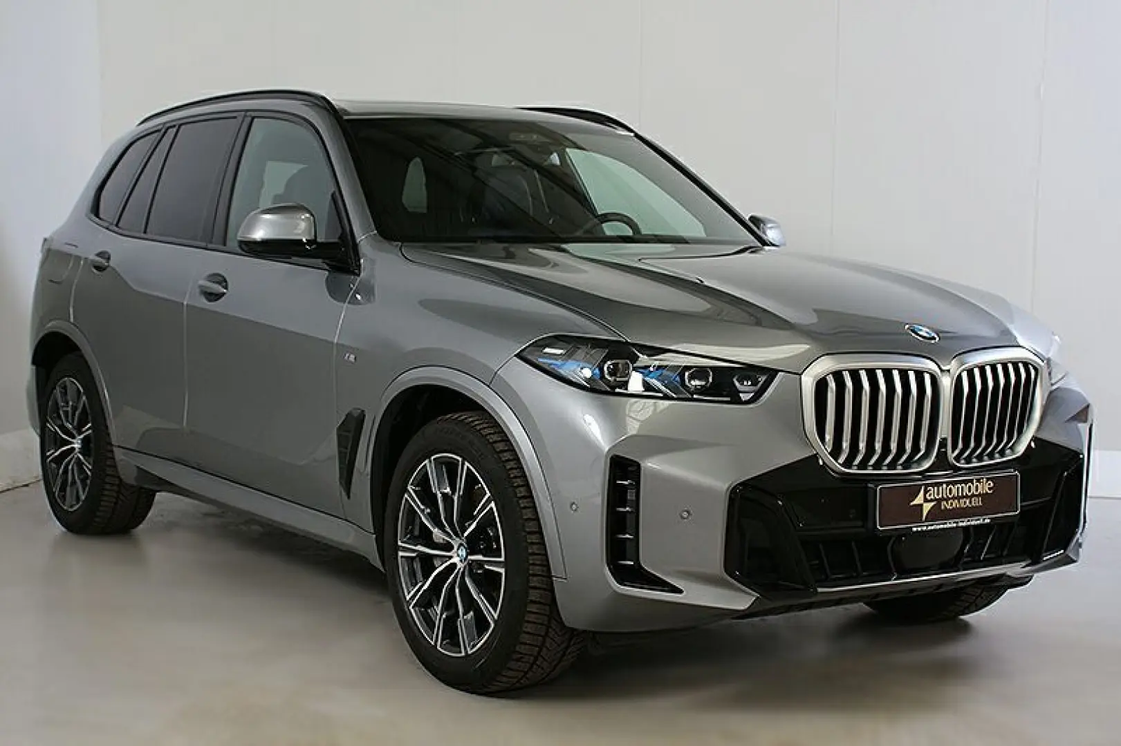 X5 xDr. 40dA M Sport AHK Panorama ACC Standh.