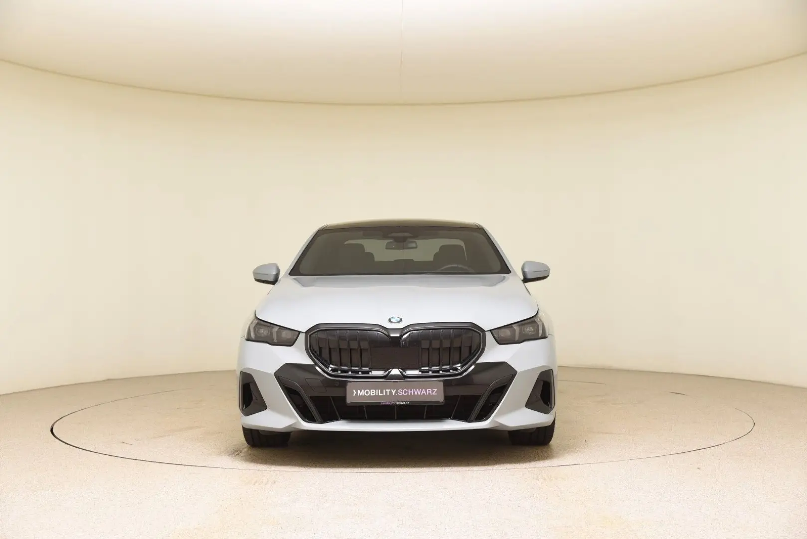 520d xDrive M Sport Pro AHK DrivAssProf Standhzg