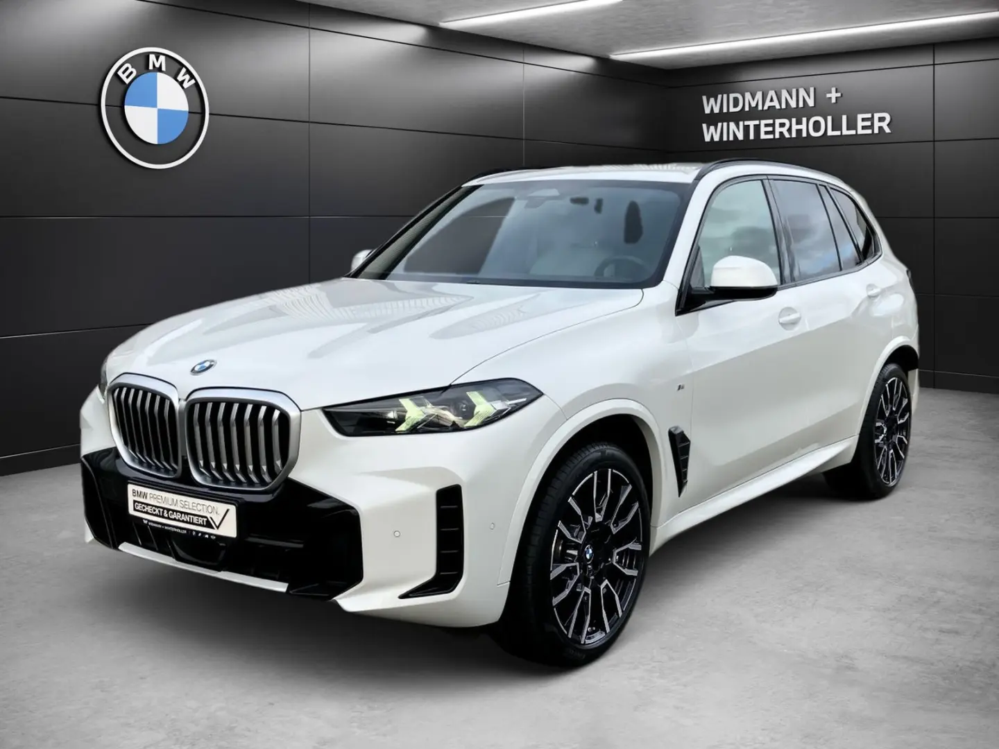 X5 xDrive30d M Sport Komfortsitze H/K PA 21''