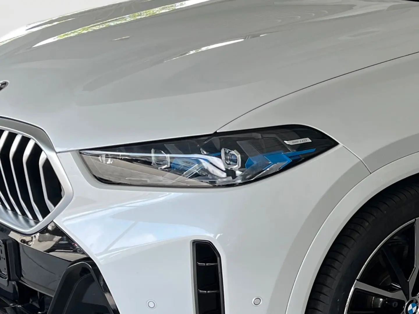 X6 xDrive 30d M SPORT/LED/AHK/PANO-DA/H&K