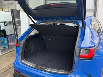 NX450h+ E-Four Executive Line * Interior & Techn