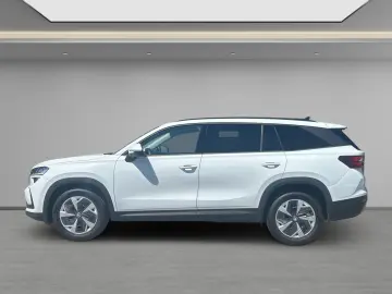 Kodiaq 2,0 TDI Selection 4x4 Matrix AHK Kamera N