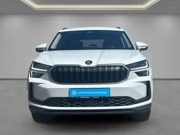 Kodiaq 2,0 TDI Selection 4x4 Matrix AHK Kamera N