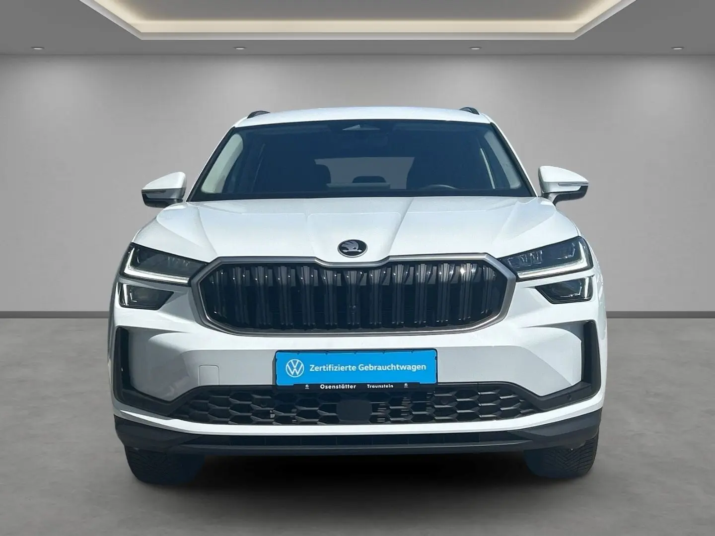 Kodiaq 2,0 TDI Selection 4x4 Matrix AHK Kamera N