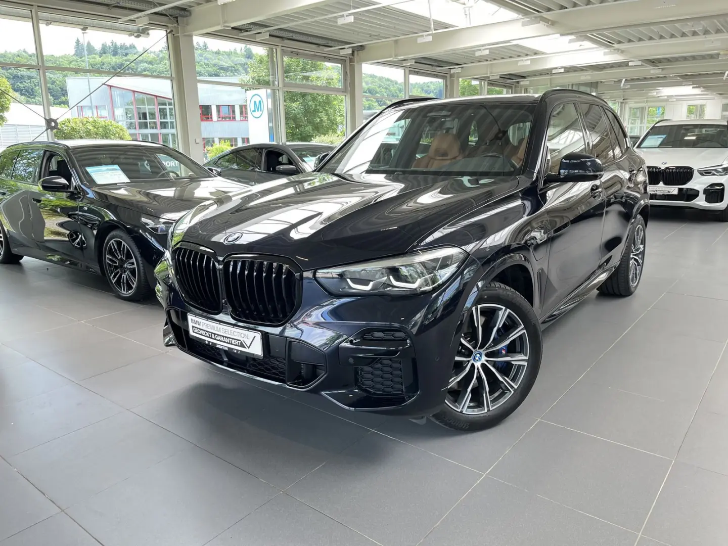 X5 xDrive45e M Sportpaket AHK/20