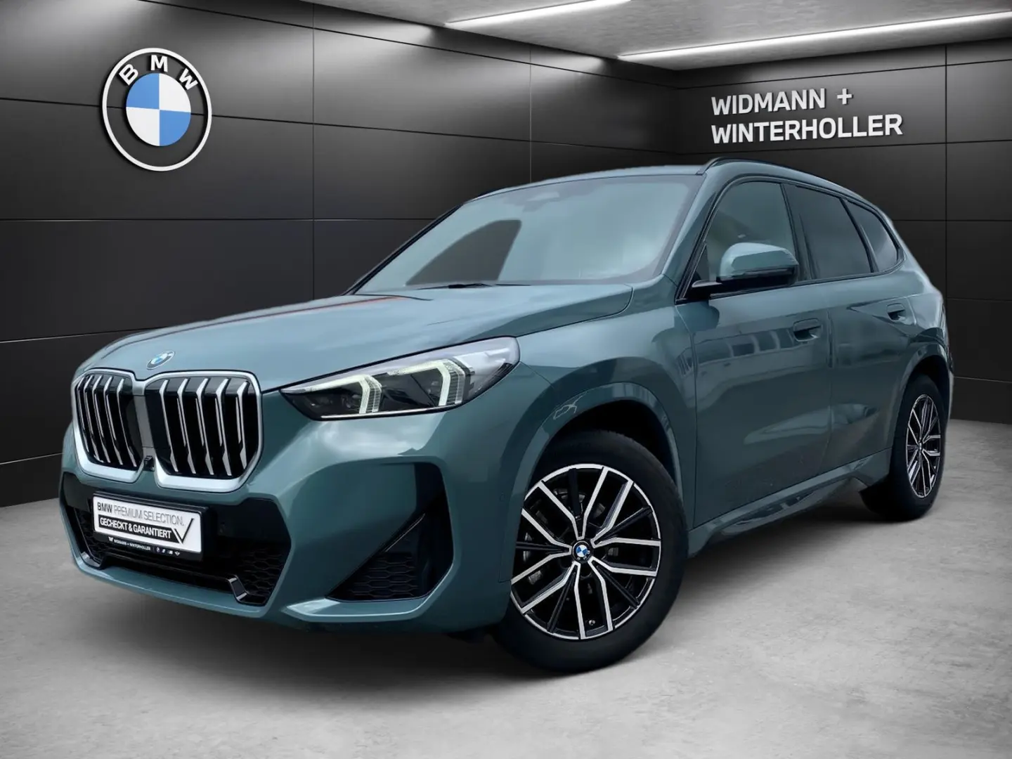 X1 xDrive20d M Sport DA PA+ HUD AHK Pano adLED
