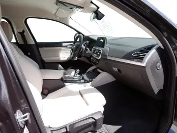 X4 XDrive20i SHZ Kamera DAB WLAN Ambientes Licht