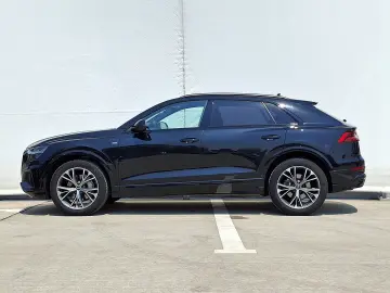 Audi Q8 3.0 50 TDI quattro Tiptronic MHEV
