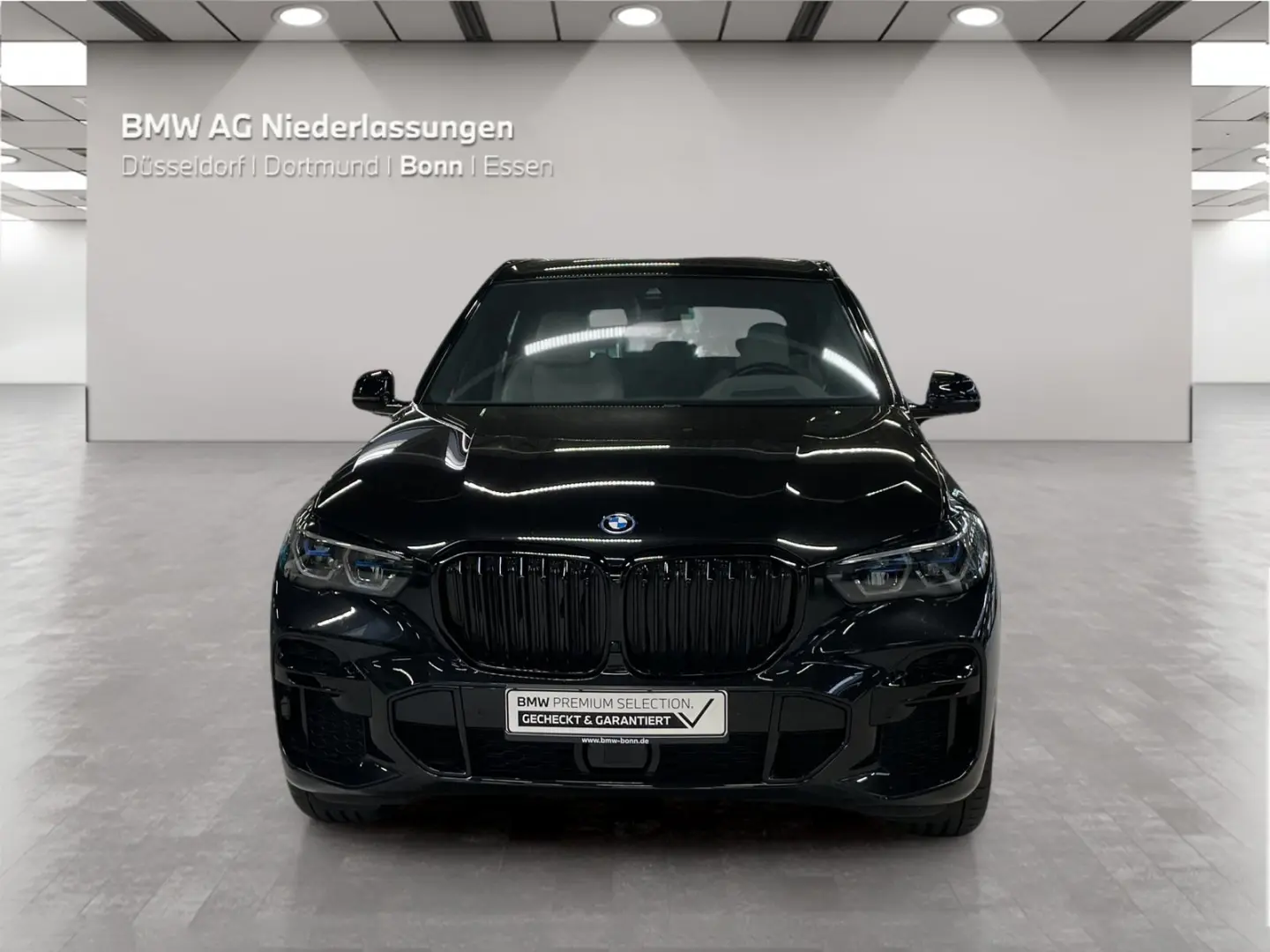 X5 xDrive45e M Sport LiveCockpitProf Head-Up