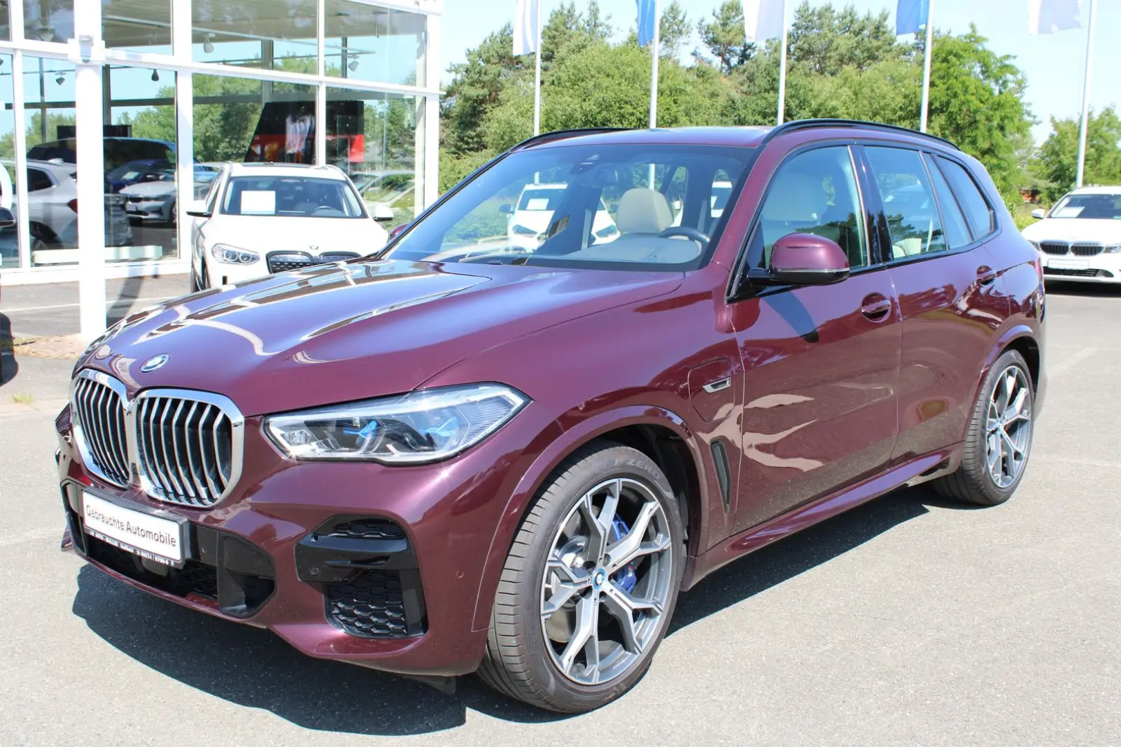X5 xDrive45e M Sportpaket Gestiksteuerung HiFi