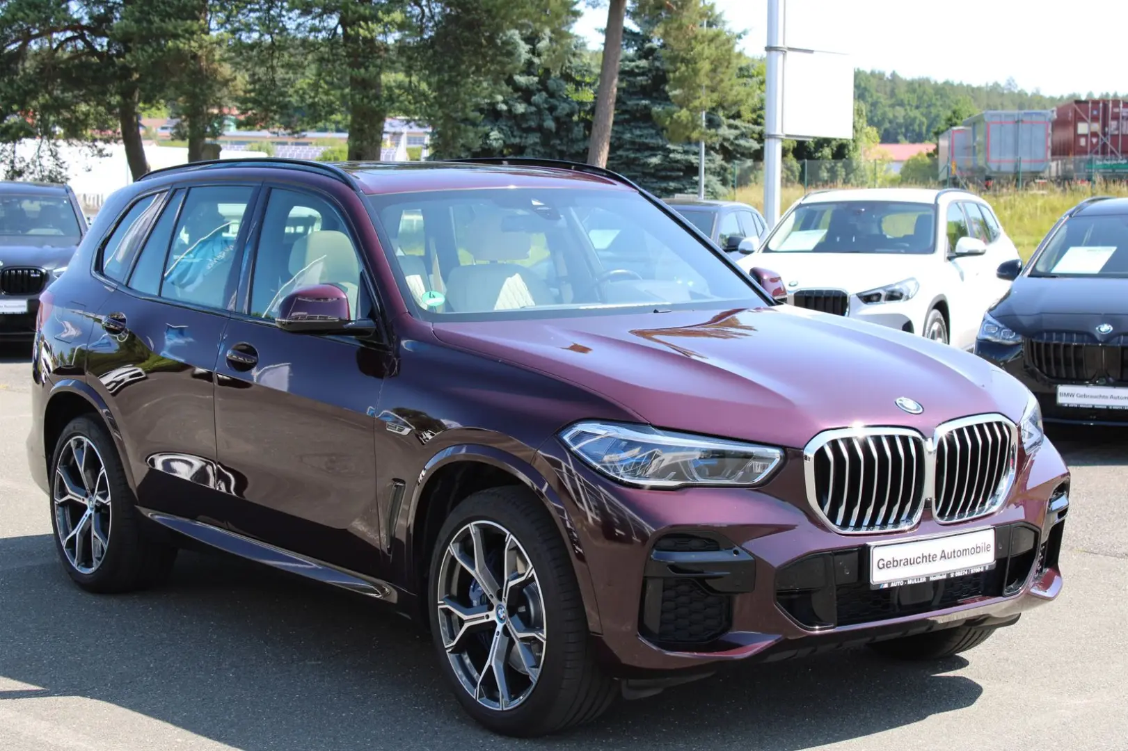 X5 xDrive45e M Sportpaket Gestiksteuerung HiFi