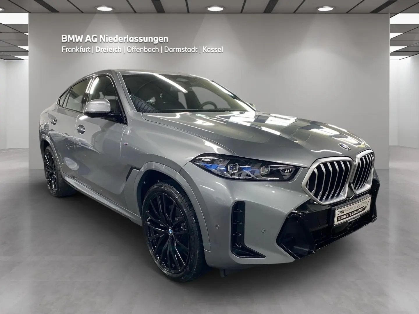 X6 xDrive30d M Sport AHK Harman/K Kamera LED