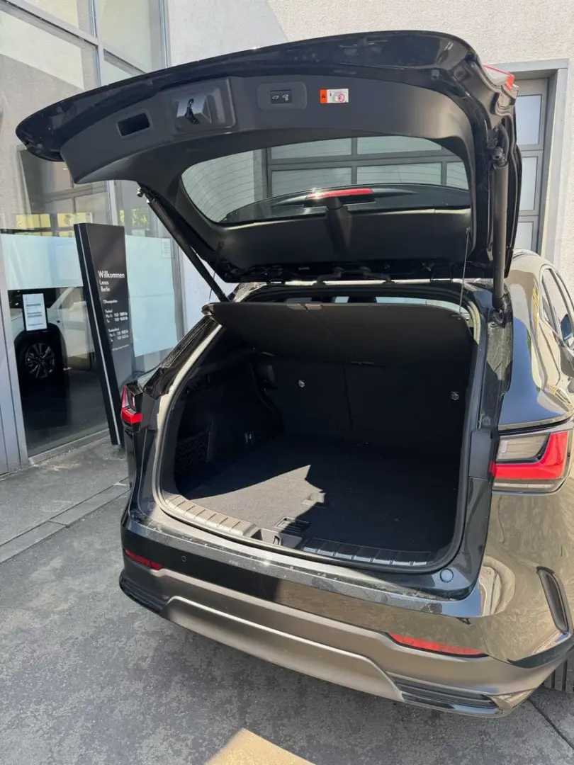 NX350h Luxury Line * E-Four * Mark Levinson * Pa