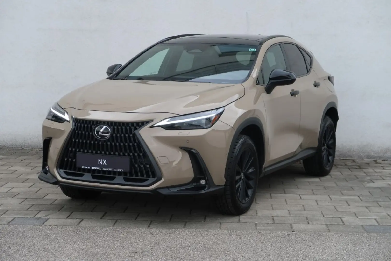 NX 350h E-FOUR Overtrail + Panoramaglasdach