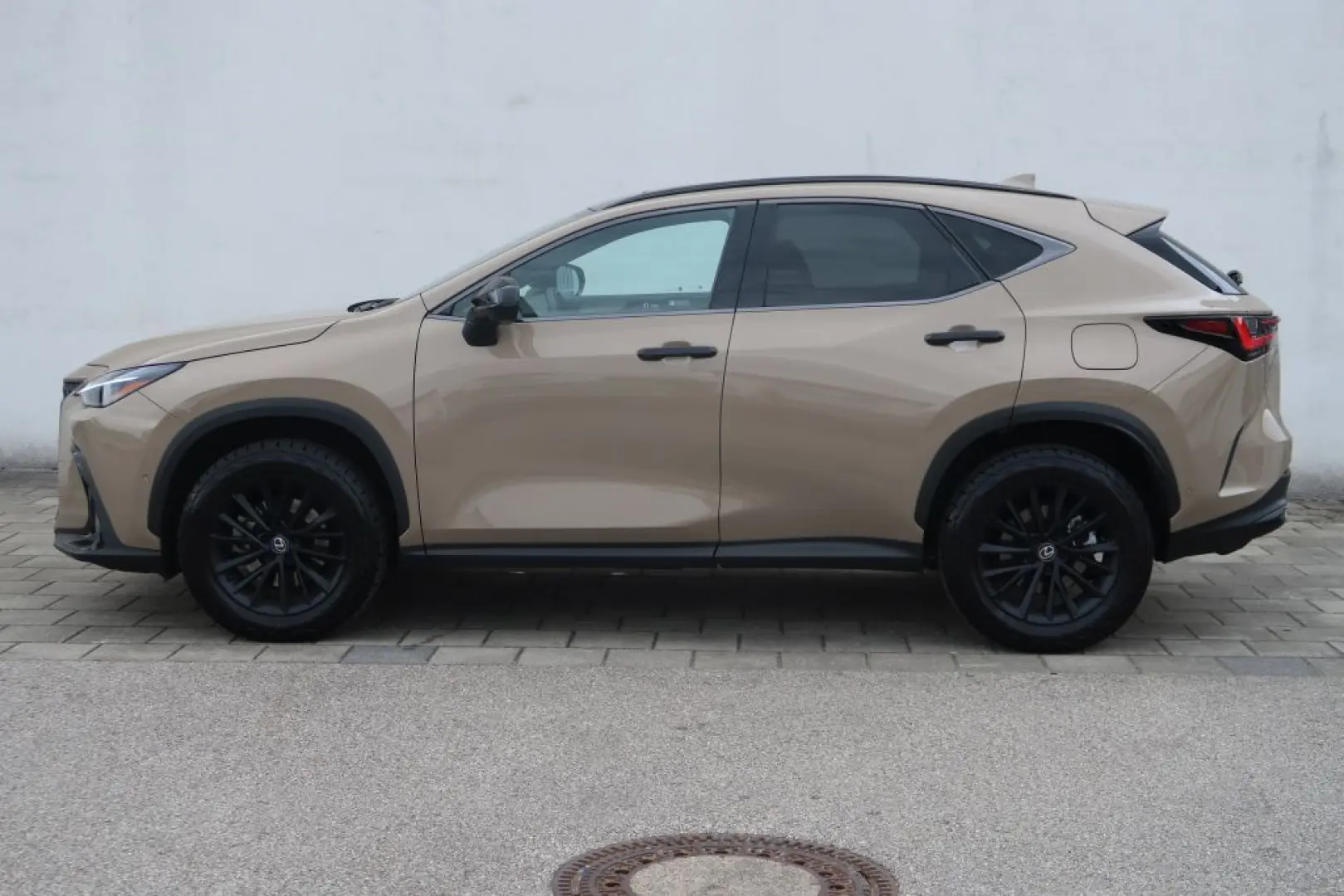 NX 350h E-FOUR Overtrail + Panoramaglasdach
