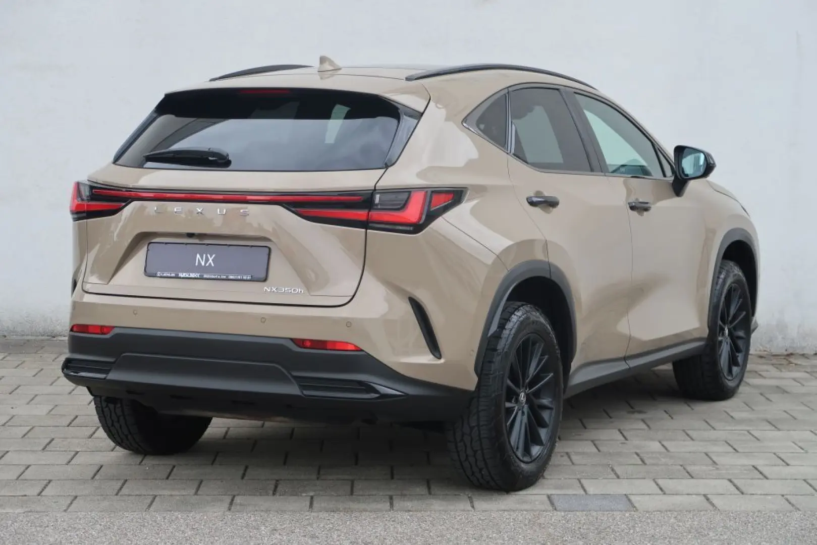 NX 350h E-FOUR Overtrail + Panoramaglasdach