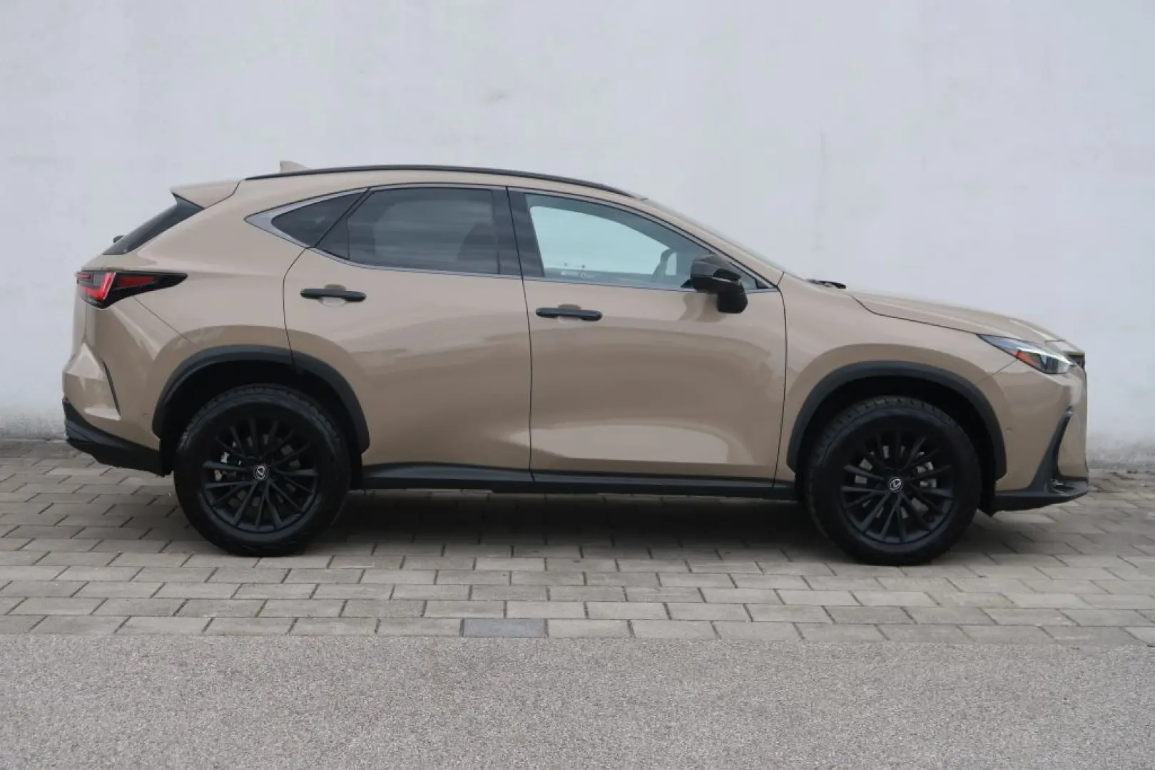 NX 350h E-FOUR Overtrail + Panoramaglasdach