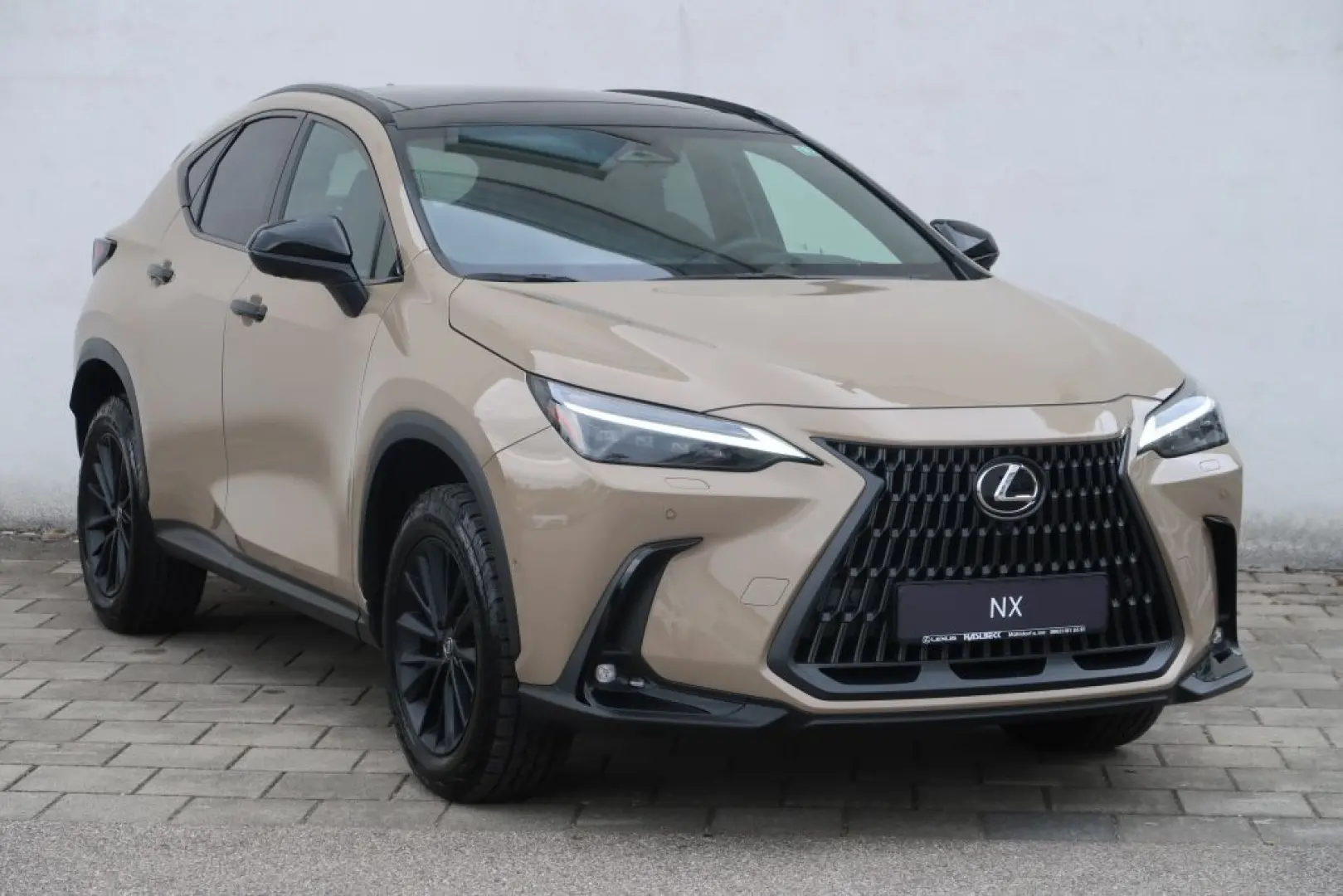 NX 350h E-FOUR Overtrail + Panoramaglasdach