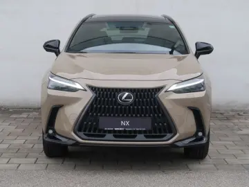 NX 350h E-FOUR Overtrail + Panoramaglasdach