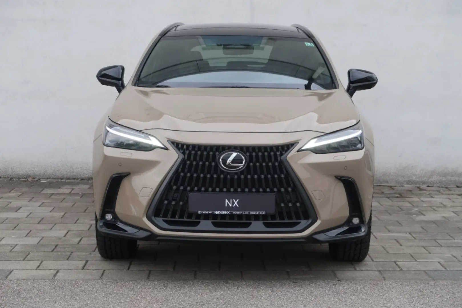 NX 350h E-FOUR Overtrail + Panoramaglasdach