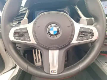 Z4 sDrive20i M Sport RFK LCP Ha/Ka Tempomat Shz