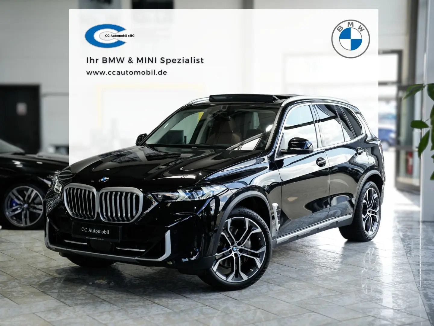 X5 xDrive 30d Panorama 360K 21LM Belüftung
