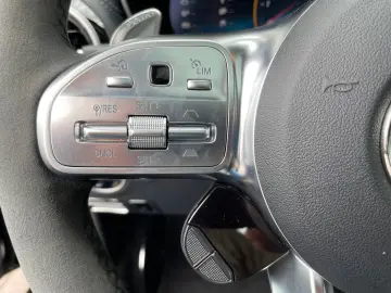 AMG GT Cp. 4,0V8 PERF-ABG  TRACK-PACE PANORAMA