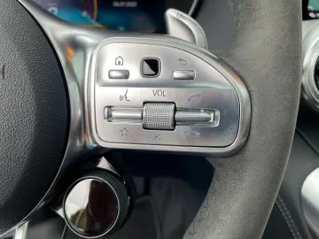 AMG GT Cp. 4,0V8 PERF-ABG  TRACK-PACE PANORAMA