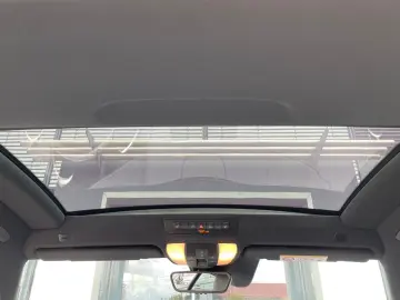 AMG GT Cp. 4,0V8 PERF-ABG  TRACK-PACE PANORAMA