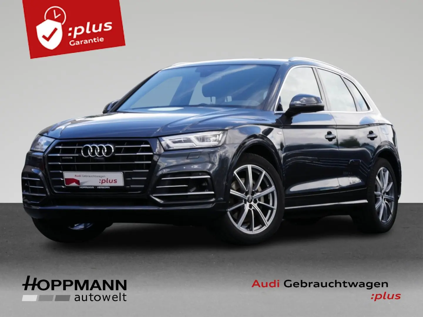 Q5 TFSI e nza 55 TFSI e quattro Luft AHK Alcanta