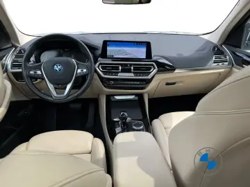 X3 xDrive30e 19