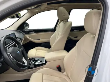X3 xDrive30e 19