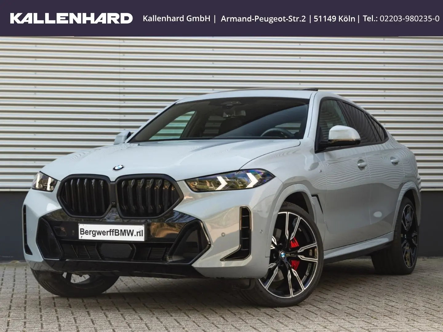 X6 40 i xDrive M Pro-Luftfederung-Standheizung