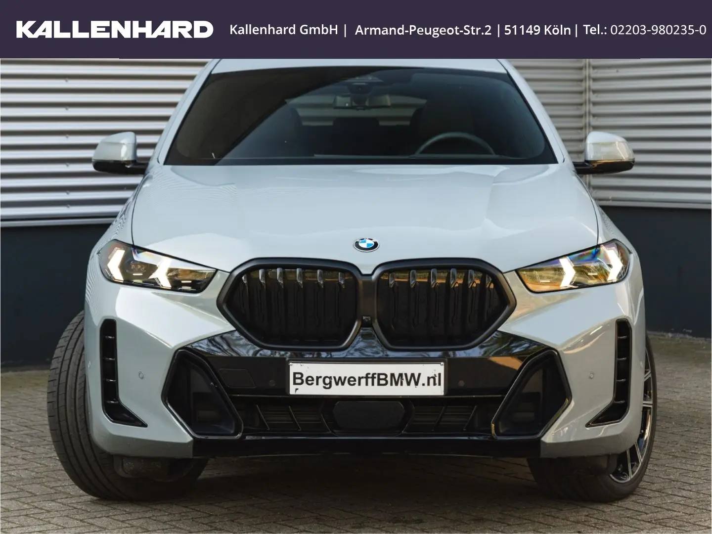 X6 40 i xDrive M Pro-Luftfederung-Standheizung