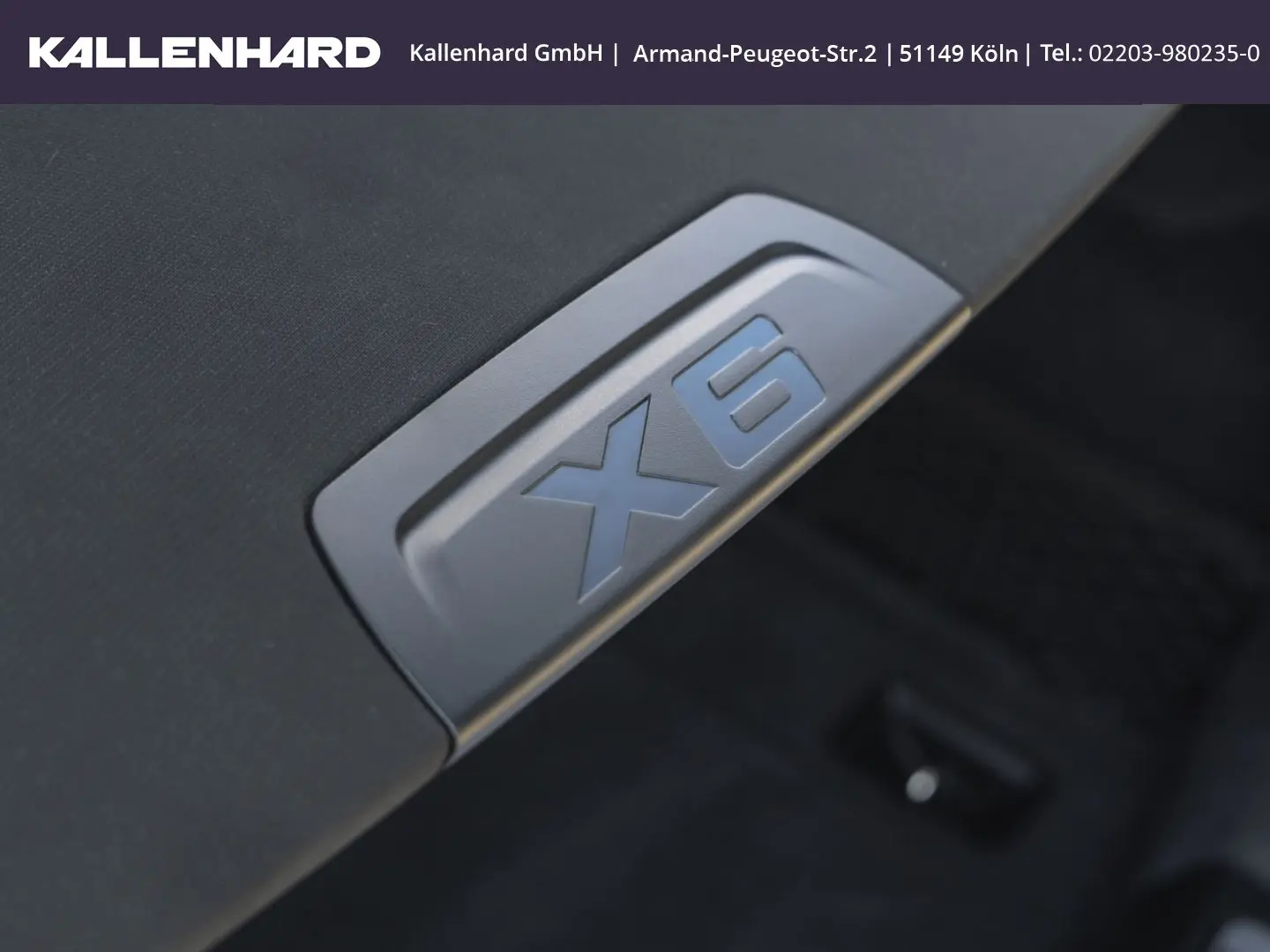 X6 40 i xDrive M Pro-Luftfederung-Standheizung