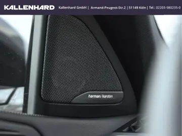 X6 40 i xDrive M Pro-Luftfederung-Standheizung