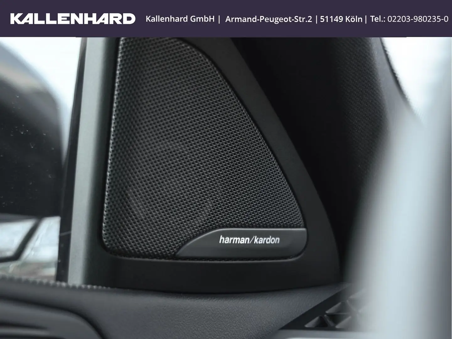 X6 40 i xDrive M Pro-Luftfederung-Standheizung