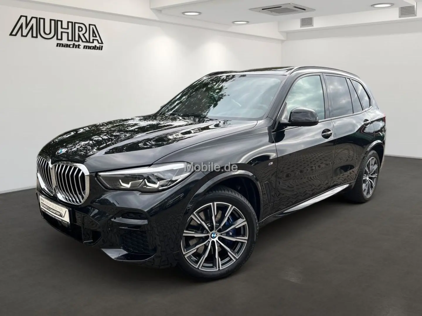 X5 xDrive30d M Sport Panorama HUD Standhzg. ACC