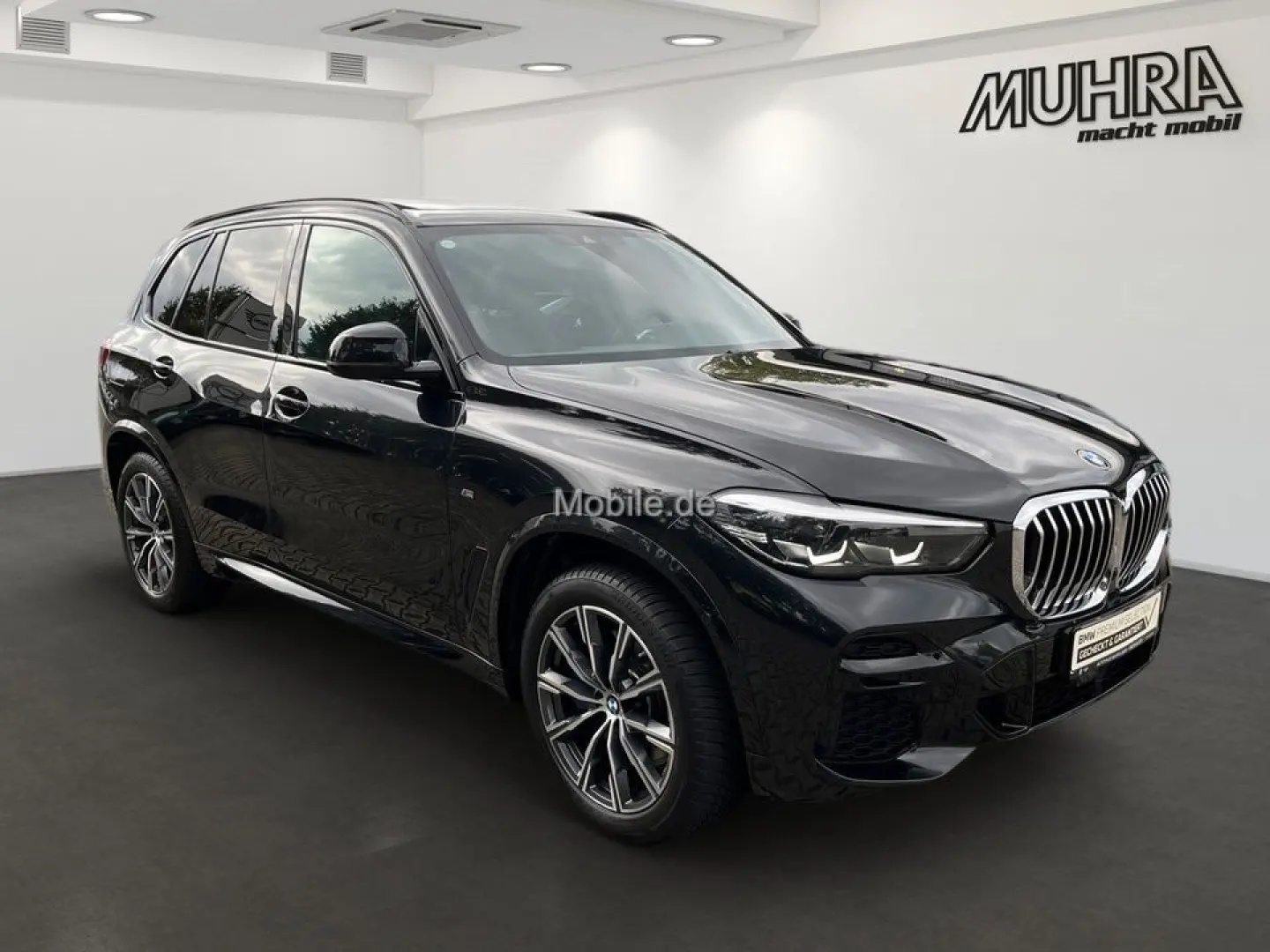 X5 xDrive30d M Sport Panorama HUD Standhzg. ACC
