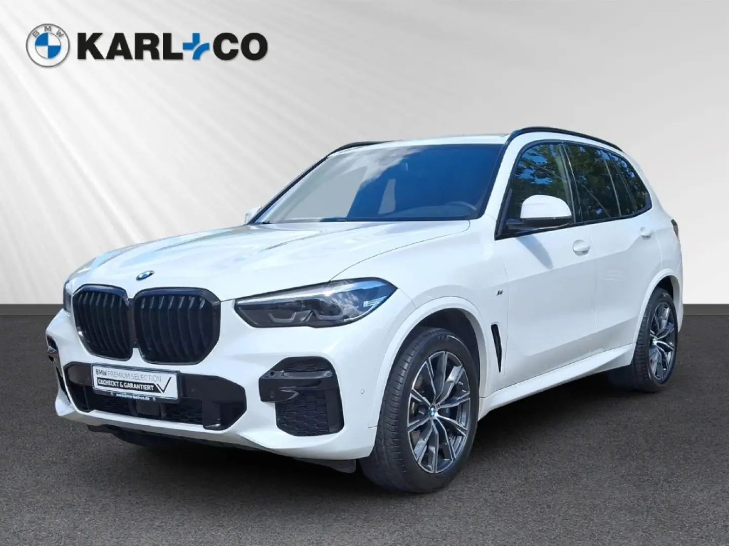 X5 xDrive30d M Sport LED Leder Navi Induktionsla