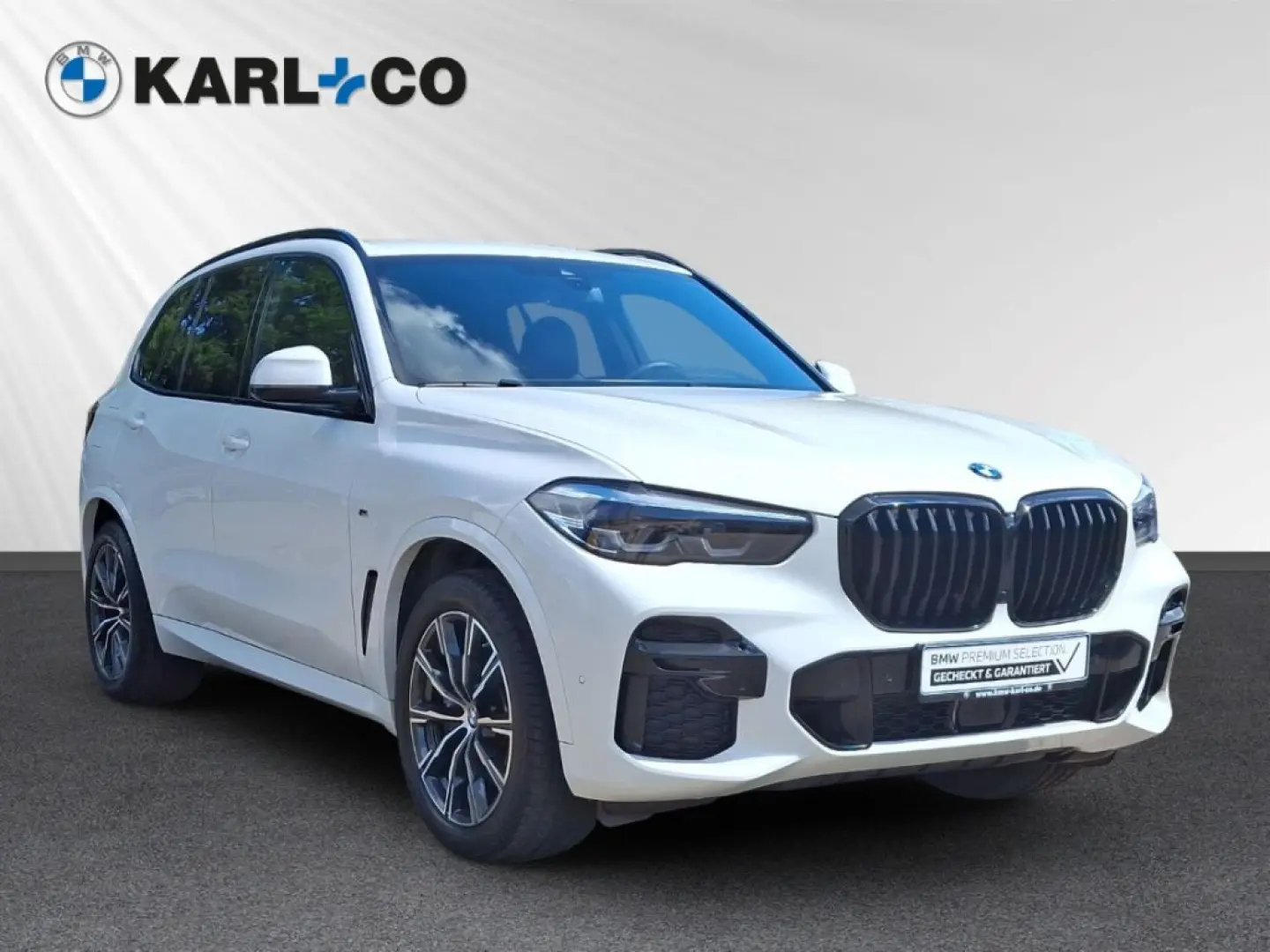 X5 xDrive30d M Sport LED Leder Navi Induktionsla