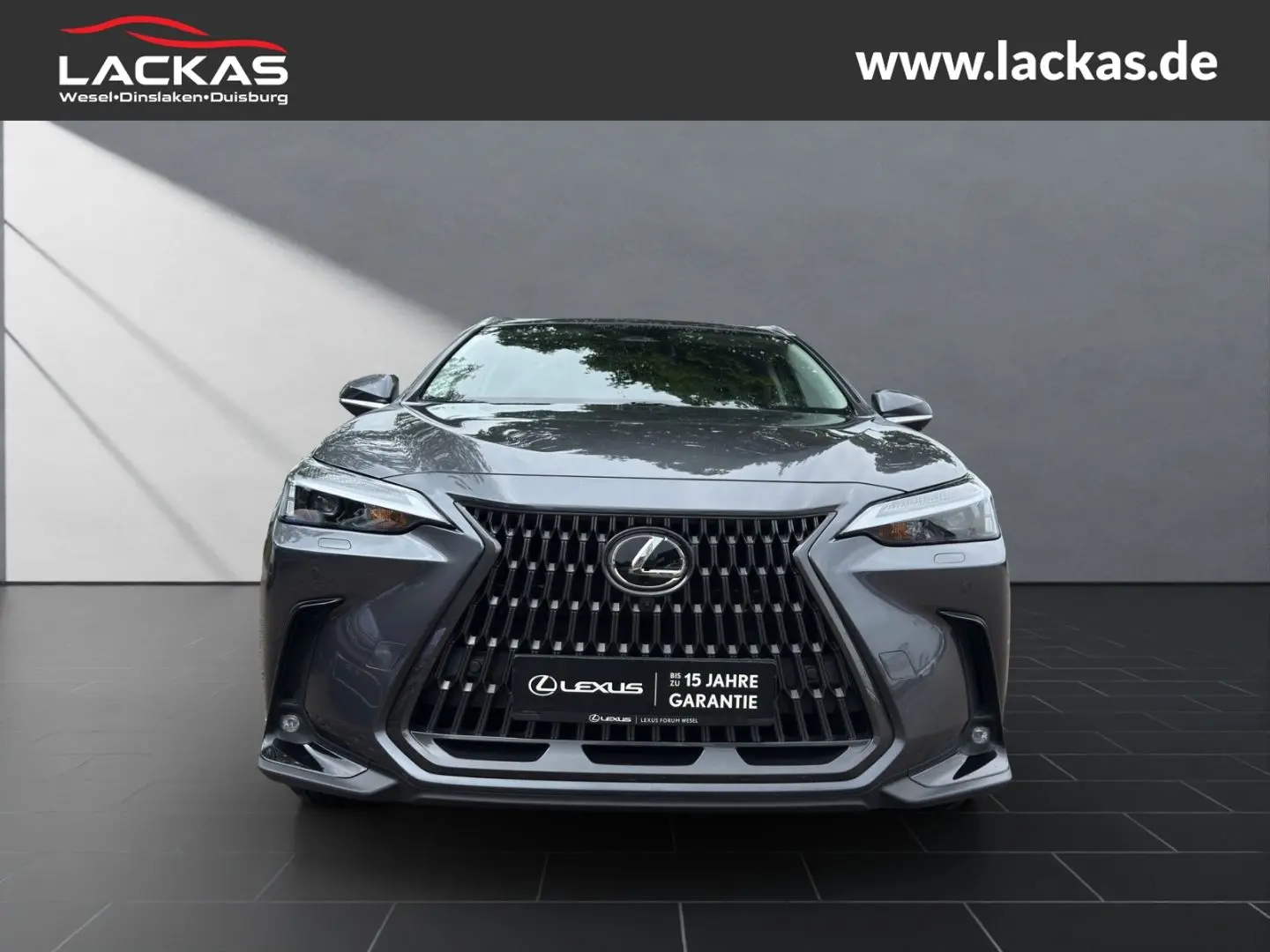 NX 450h+ E-Four*Executive*AHK*360°Leder*Plug-In*