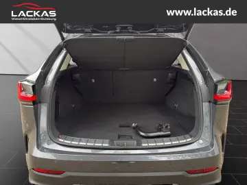 NX 450h+ E-Four*Executive*AHK*360°Leder*Plug-In*