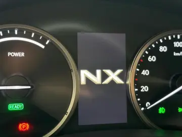 NX 300H*BUSINESS LINE*ACC*KAMERA*LEDER*NAVI*KEY
