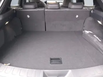 Lexus UX 300h Allrad/F SPORT*Matrix LED