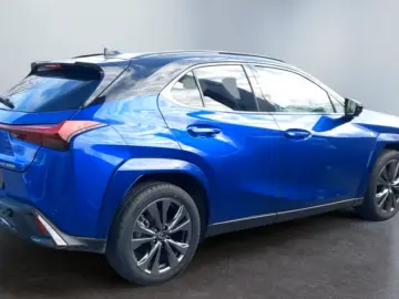 Lexus UX 300h Allrad/F SPORT*Matrix LED