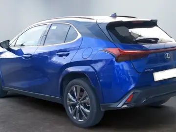 Lexus UX 300h Allrad/F SPORT*Matrix LED